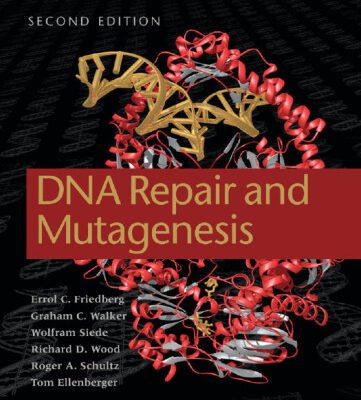خرید و دانلود نسخه کامل کتاب DNA repair and mutagenesis