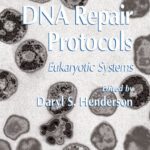 خرید و دانلود نسخه کامل کتاب DNA Repair Protocols: Eukaryotic Systems