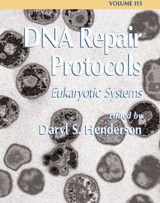 خرید و دانلود نسخه کامل کتاب DNA Repair Protocols: Eukaryotic Systems
