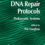 خرید و دانلود نسخه کامل کتاب DNA Repair Protocols: Prokaryotic Systems