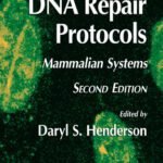 خرید و دانلود نسخه کامل کتاب DNA Repair Protocols