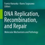 خرید و دانلود نسخه کامل کتاب DNA Replication, Recombination, and Repair: Molecular Mechanisms and Pathology