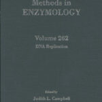 خرید و دانلود نسخه کامل کتاب DNA Replication