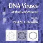 خرید و دانلود نسخه کامل کتاب DNA Viruses: Methods and Protocols