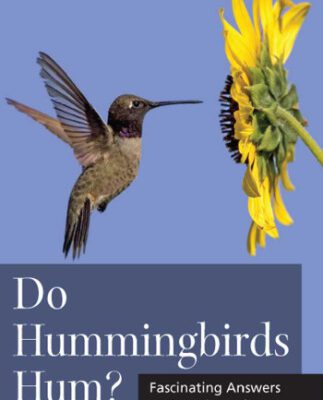 خرید و دانلود نسخه کامل کتاب Do Hummingbirds Hum?: Fascinating Answers to Questions About Hummingbirds (Animal Q&a Series)
