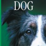 خرید و دانلود نسخه کامل کتاب Dog (DK Eyewitness Books)