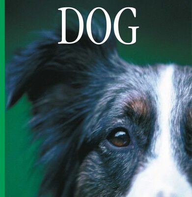 خرید و دانلود نسخه کامل کتاب Dog (DK Eyewitness Books)