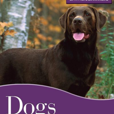 خرید و دانلود نسخه کامل کتاب Dogs (Animals Animals)