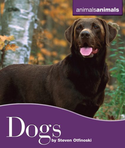 خرید و دانلود نسخه کامل کتاب Dogs (Animals Animals)_68e7e32a4f42f.jpeg خرید و دانلود نسخه کامل کتاب Dogs (Animals Animals)