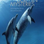 خرید و دانلود نسخه کامل کتاب Dolphin Mysteries: Unlocking the Secrets of Communication