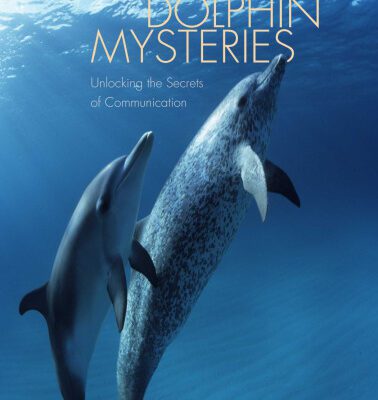 خرید و دانلود نسخه کامل کتاب Dolphin Mysteries: Unlocking the Secrets of Communication
