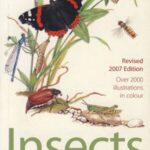 خرید و دانلود نسخه کامل کتاب Domino guide to the insects of Britain and Western Europe