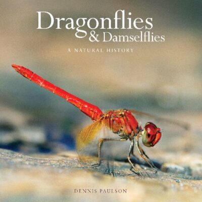 خرید و دانلود نسخه کامل کتاب Dragonflies & damselflies. A natural history