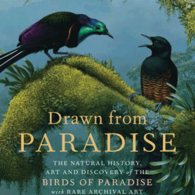 خرید و دانلود نسخه کامل کتاب Drawn from Paradise: The Natural History, Art and Discovery of the Birds of Paradise with Rare Archival Art