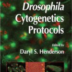 خرید و دانلود نسخه کامل کتاب Drosophila Cytogenetics Protocols