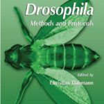 خرید و دانلود نسخه کامل کتاب Drosophila: Methods and Protocols