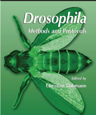 خرید و دانلود نسخه کامل کتاب Drosophila: Methods and Protocols