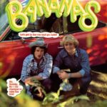 خرید و دانلود نسخه کامل کتاب Dukes of Hazzard