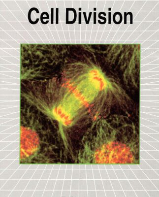 خرید و دانلود نسخه کامل کتاب Dynamics of Cell Division (Frontiers in Molecular Biology)