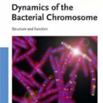 خرید و دانلود نسخه کامل کتاب Dynamics of the Bacterial Chromosome – Structure and Function