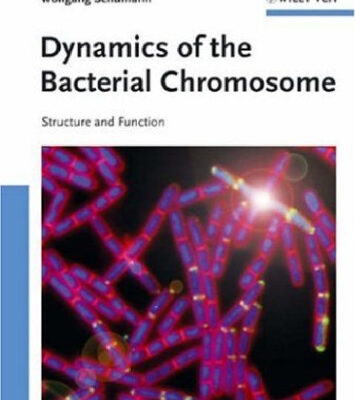 خرید و دانلود نسخه کامل کتاب Dynamics of the Bacterial Chromosome – Structure and Function