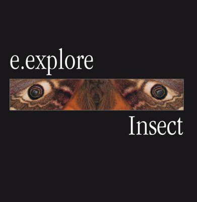 خرید و دانلود نسخه کامل کتاب E.Explore: Insects