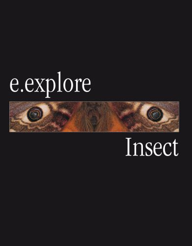 خرید و دانلود نسخه کامل کتاب E.Explore: Insects_68e7c469cc94b.jpeg خرید و دانلود نسخه کامل کتاب E.Explore: Insects