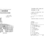 خرید و دانلود نسخه کامل کتاب 上帝的残屑: 对复杂世界的另类思索