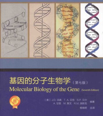 خرید و دانلود نسخه کامل کتاب 基因的分子生物学