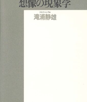 خرید و دانلود نسخه کامل کتاب 想像の現象学 (精選復刻紀伊国屋新書)