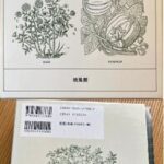 خرید و دانلود نسخه کامل کتاب 植物育種学辞典