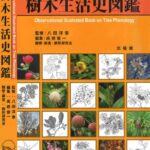 خرید و دانلود نسخه کامل کتاب 樹木生活史図鑑 Observational Illustrated Book on Tree Phenology