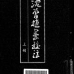 خرید و دانلود نسخه کامل کتاب 沈曾植集校注