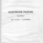 خرید و دانلود نسخه کامل کتاب Echinides irreguliers J09 Atlas. Cotteau 1867 74