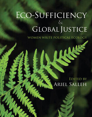 خرید و دانلود نسخه کامل کتاب Eco-Sufficiency & Global Justice