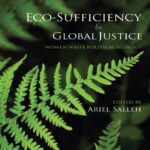 خرید و دانلود نسخه کامل کتاب Eco-sufficiency & Global Justice