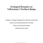 خرید و دانلود نسخه کامل کتاب Ecological Dynamics on Yellowstone’s Northern Range