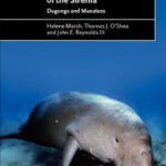 خرید و دانلود نسخه کامل کتاب Ecology and Conservation of the Sirenia: Dugongs and Manatees