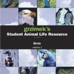خرید و دانلود نسخه کامل کتاب ect. Grzimek’s Student Animal Life Resource: Birds. Vol. 3. Sandgrouse to Woodpeckers