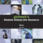 خرید و دانلود نسخه کامل کتاب ect. Grzimek’s Student Animal Life Resource: Birds. Vol. 4. Broadbills to Fantails