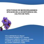 خرید و دانلود نسخه کامل کتاب Efectividad de microorganismos eficaces en la ecoeficiencia del cultivo de papa (Solanum tuberosum L.)