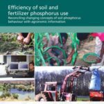 خرید و دانلود نسخه کامل کتاب Efficiency of soil and fertilizer phosphorus use