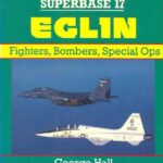خرید و دانلود نسخه کامل کتاب Eglin: Fighters, Bombers, Special Ops