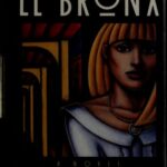 خرید و دانلود نسخه کامل کتاب El Bronx