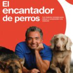 خرید و دانلود نسخه کامل کتاب El encantador de perros.