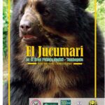 خرید و دانلود نسخه کامل کتاب El jucumari (Tremarctos ornatus) en el Gran Paisaje Madidi-Tambopata (Perú-Bolivia)