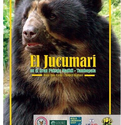 خرید و دانلود نسخه کامل کتاب El jucumari (Tremarctos ornatus) en el Gran Paisaje Madidi-Tambopata (Perú-Bolivia)