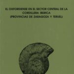 خرید و دانلود نسخه کامل کتاب El Oxfordiense en el Sector Central de la Cordillera Iberica (provincias der Zaragoza y Teruel). Zaragoza – Teruel : Instituto Fernando el Catolico, Instituto de Estudios Turolenses. 418 p