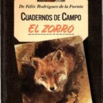 خرید و دانلود نسخه کامل کتاب El zorro