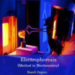 خرید و دانلود نسخه کامل کتاب Electrophoresis : (method in biochemistry)